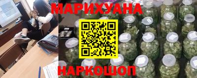 индика Новозыбков