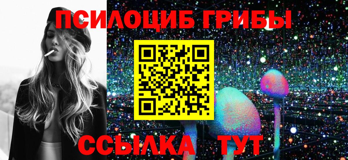 Северобайкальск  Галлюциногенные грибы Psilocybine cubensis  Вход с VPN 