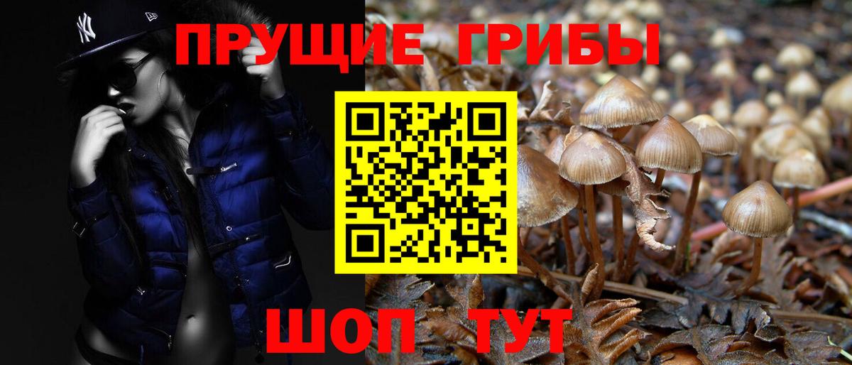 Галлюциногенные грибы Magic Shrooms Северобайкальск